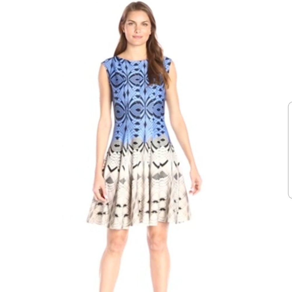 Julian Taylor Women's Fit and Flare Dress, Size 10, Blue/White